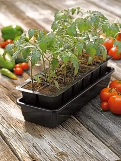 Growease Seed Starter Kit -Outdoor Garden Care Shop 8589988 1056 tif