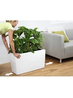Lechuza® Cararo Rectangular Indoor Planter With Casters 8 Lechuza® Cararo Rectangular Indoor Planter With Casters -Outdoor Garden Care Shop 8590295 03v