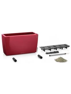 Lechuza® Cararo Rectangular Indoor Planter With Casters 7 Lechuza® Cararo Rectangular Indoor Planter With Casters -Outdoor Garden Care Shop 8590295 04v
