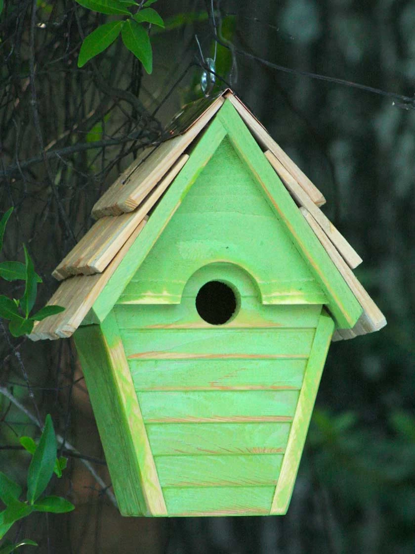 Heartwood Wren-in-the-Wind Bird House 7 Heartwood Wren-in-the-Wind Bird House - Image 7
