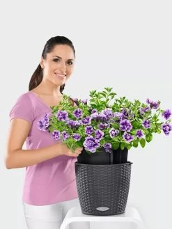 Lechuza® Nido Cottage Wicker Hanging Planter -Outdoor Garden Care Shop 8591154GT 006V tif