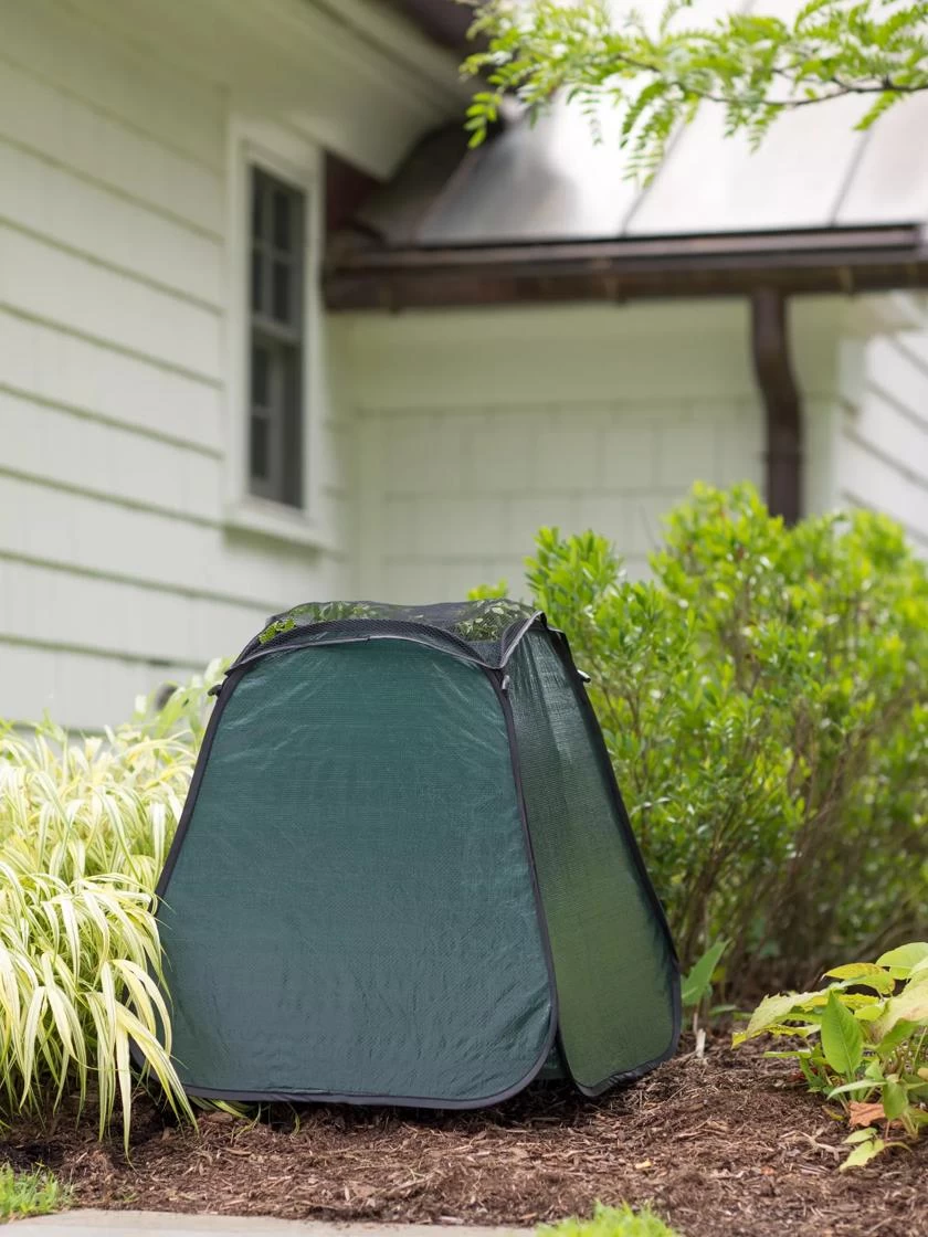 Pop-Up Plant Protector 2 Pop-Up Plant Protector - Image 2