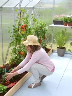 Canopia® By Palram Essence™ Greenhouse, 8' X 12' 16 Canopia® By Palram Essence™ Greenhouse, 8' X 12' -Outdoor Garden Care Shop 8591356 04V tif