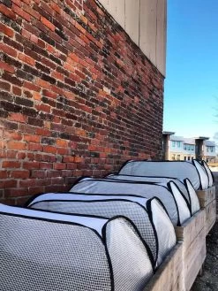 Row Shelter Accelerator 9 Row Shelter Accelerator -Outdoor Garden Care Shop 8591990 01IN tif