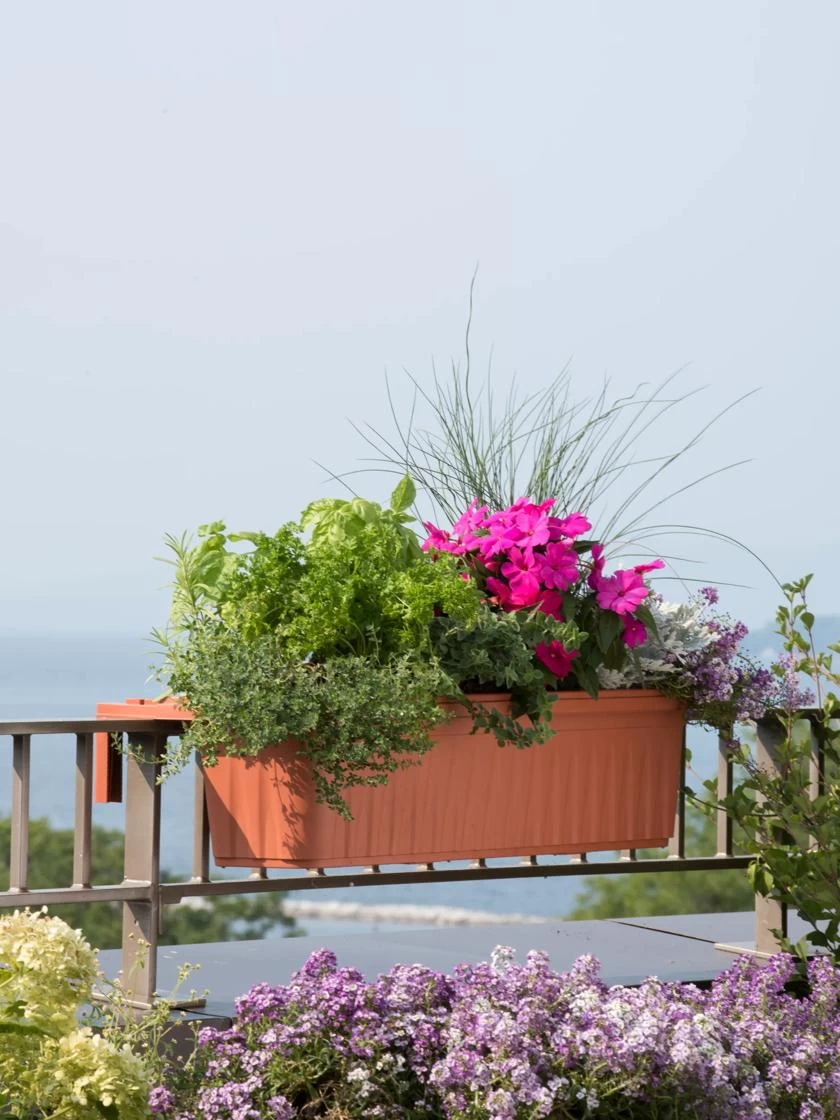 Adjustable Self-Watering Railing Planter, 32" 1 Adjustable Self-Watering Railing Planter, 32"