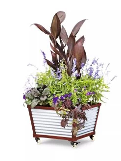 Galvanized Self-Watering Planters -Outdoor Garden Care Shop 8592176 5067 tif