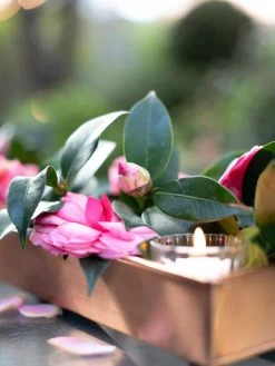 Rectangular Copper Plant Tray, 18"x4" 7 Rectangular Copper Plant Tray, 18"x4" -Outdoor Garden Care Shop 8593532 02IN tif