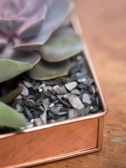 Rectangular Copper Plant Tray, 24" X 5" -Outdoor Garden Care Shop 8593533 4570 tif