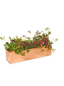 Tall Rectangular Copper Plant Tray, 18" X 5" X 4" -Outdoor Garden Care Shop 8593534 2899 tif