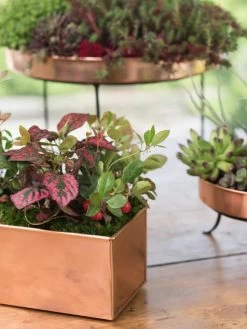 Outdoor Garden Care Shop -Outdoor Garden Care Shop 8593564 4430 tif