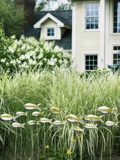 Fish Out Of Water Garden Stakes, Set Of 5 -Outdoor Garden Care Shop 8593672 9124 tif