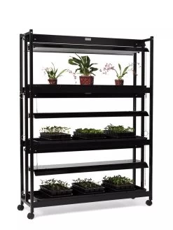 High Intensity 3-Tier SunLite® Garden -Outdoor Garden Care Shop 8593944 1608 tif