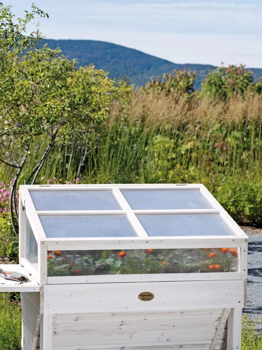 Cold Frame For Compact VegTrug® 1 Cold Frame For Compact VegTrug®