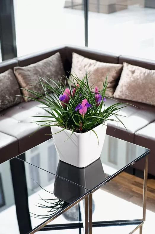 Lechuza® Quadro LS Premium Self-Watering Square Planters 1 Lechuza® Quadro LS Premium Self-Watering Square Planters