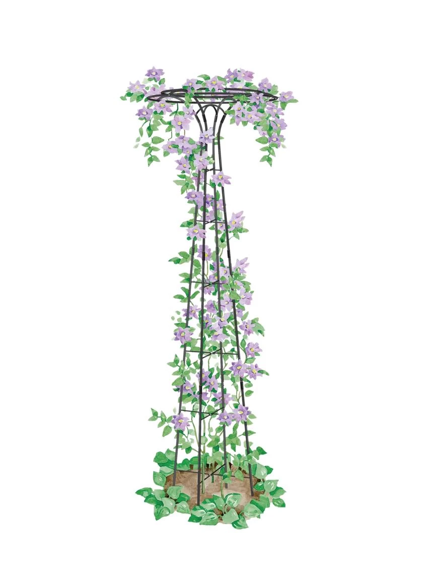 Essex Tuteur, 63" 1 Essex Tuteur, 63"