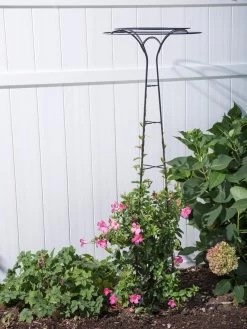 Essex Tuteur, 63" 8 Essex Tuteur, 63" -Outdoor Garden Care Shop 8594162 0023 tif