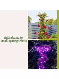 Essex Tuteur, 63" 11 Essex Tuteur, 63" -Outdoor Garden Care Shop 8594162 3