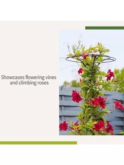 Essex Tuteur, 63" 10 Essex Tuteur, 63" -Outdoor Garden Care Shop 8594162 4