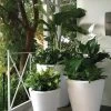 Dot TruDrop Self-Watering Planters