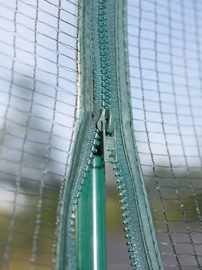 Pest-Free Garden 3 Pest-Free Garden - Image 3