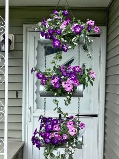 Galvanized Hanging Triple Planter 11 Galvanized Hanging Triple Planter -Outdoor Garden Care Shop 8595213 02CUST tif