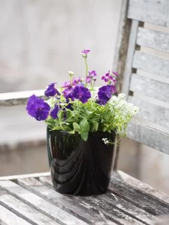 Viva Round Self-Watering Planter, 7" Diameter -Outdoor Garden Care Shop 8595222 1140 tif