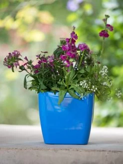 Viva Square Self-Watering Planter, 7" Diameter -Outdoor Garden Care Shop 8595223 1113 tif