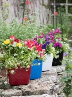 Outdoor Garden Care Shop -Outdoor Garden Care Shop 8595223 5308 tif