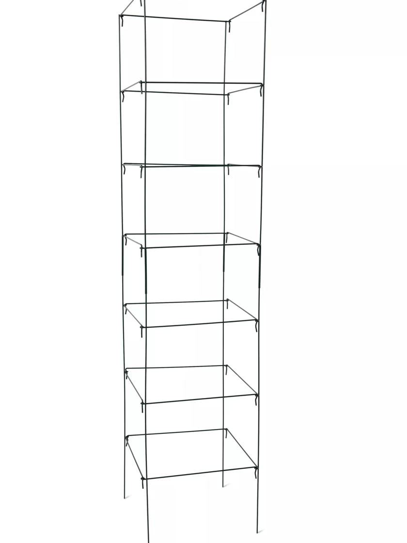 Mammoth Tomato Towers, Set Of 2 2 Mammoth Tomato Towers, Set Of 2 - Image 2