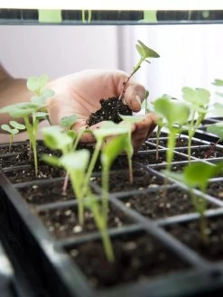 LED Stack-n-Grow Lights - Base Unit -Outdoor Garden Care Shop 8595770 7373 tif