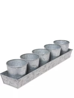 Galvanized Herb Planters With Rectangular Tray 7 Galvanized Herb Planters With Rectangular Tray -Outdoor Garden Care Shop 8595903 3924 tif