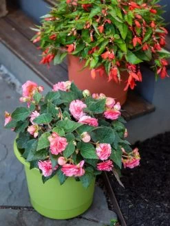 Eezy Gro Self-Watering Planters -Outdoor Garden Care Shop 8596427 0034 tif