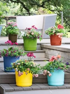 Eezy Gro Self-Watering Planters