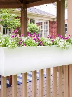 Valencia Window Box, 4' 9 Valencia Window Box, 4' -Outdoor Garden Care Shop 8596437 006V tif
