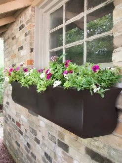 Valencia Window Box, 4' 11 Valencia Window Box, 4' -Outdoor Garden Care Shop 8596437 08V tif