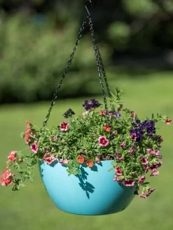 Viva Self-Watering Hanging Basket, 14" Diameter -Outdoor Garden Care Shop 8596442 0859 tif