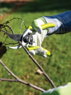 Gardener's Pro Pruner #2 -Outdoor Garden Care Shop 8596605 032 tif