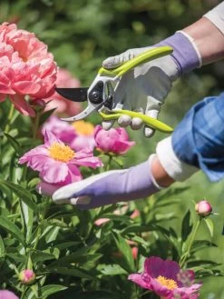 Gardener's Pro Pruner #2 -Outdoor Garden Care Shop 8596605 1261 tif