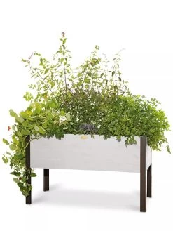 Eco-Stained Elevated Planter Box, 2'x4' -Outdoor Garden Care Shop 8596759 3837 tif