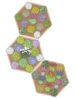 Pollinator Garden Bed -Outdoor Garden Care Shop 8597000 Hummingbird Plan tif