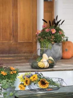 Galvanized Rim Planters 9 Galvanized Rim Planters -Outdoor Garden Care Shop 8597379 1625 tif