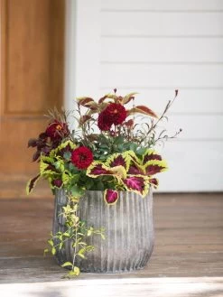 Galvanized Ribbed Planters -Outdoor Garden Care Shop 8597435 1693 tif