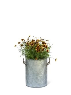 Galvanized Rim Planters 10 Galvanized Rim Planters -Outdoor Garden Care Shop 8597442 1705 tif