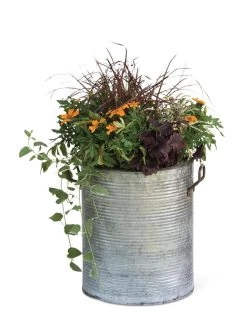 Galvanized Rim Planters 11 Galvanized Rim Planters -Outdoor Garden Care Shop 8597443 1704 tif