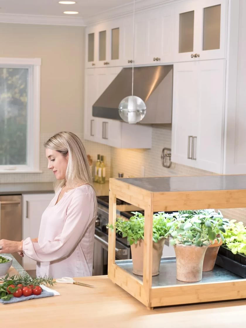 Low Bamboo LED Grow Light Garden 11 Low Bamboo LED Grow Light Garden - Image 11