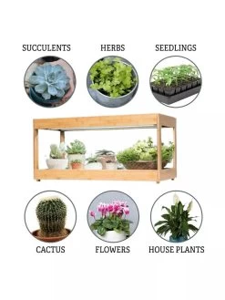 Low Bamboo LED Grow Light Garden 17 Low Bamboo LED Grow Light Garden -Outdoor Garden Care Shop 8597720 3