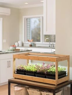 Low Bamboo LED Grow Light Garden 14 Low Bamboo LED Grow Light Garden -Outdoor Garden Care Shop 8597720 9388 tif