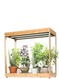 Medium Bamboo LED Grow Light Garden 25 Medium Bamboo LED Grow Light Garden -Outdoor Garden Care Shop 8597883 1011 tif