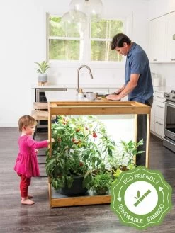 Medium Bamboo LED Grow Light Garden