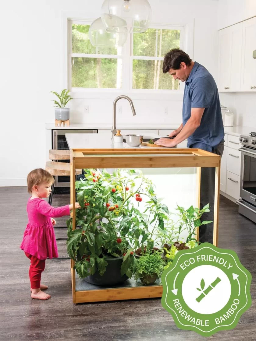 Medium Bamboo LED Grow Light Garden 1 Medium Bamboo LED Grow Light Garden